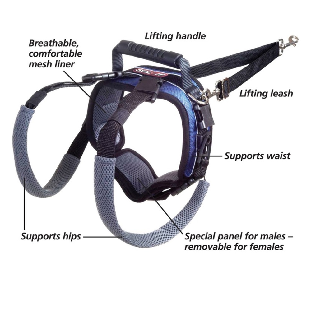 💕NWT Rear Harness - Picture 3 of 9